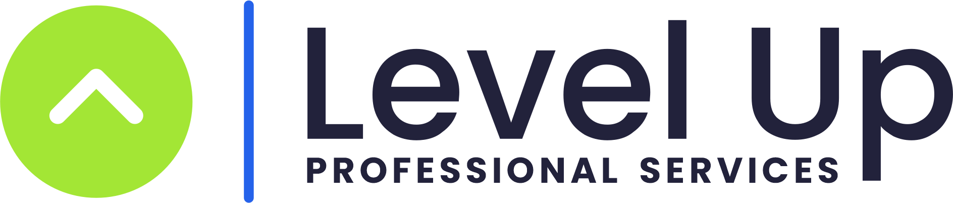 Level Up Professional Services